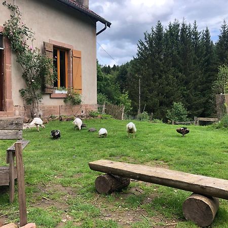 A L'Oree De Soi - Maison Forestiere De La Soie - Eco Gite, Chambres D'Hotes, Camping Au Pied Des Vosges Saint-Sauveur  Екстериор снимка