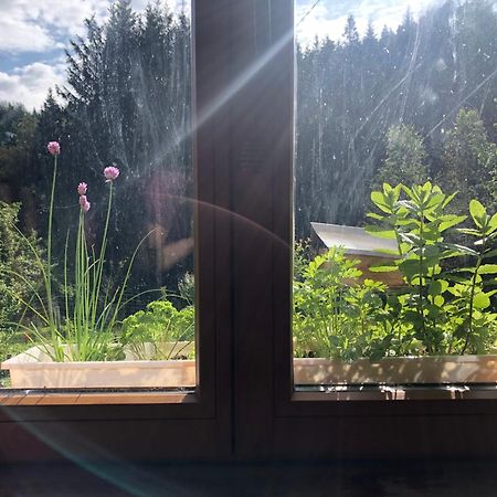 A L'Oree De Soi - Maison Forestiere De La Soie - Eco Gite, Chambres D'Hotes, Camping Au Pied Des Vosges Saint-Sauveur  Екстериор снимка