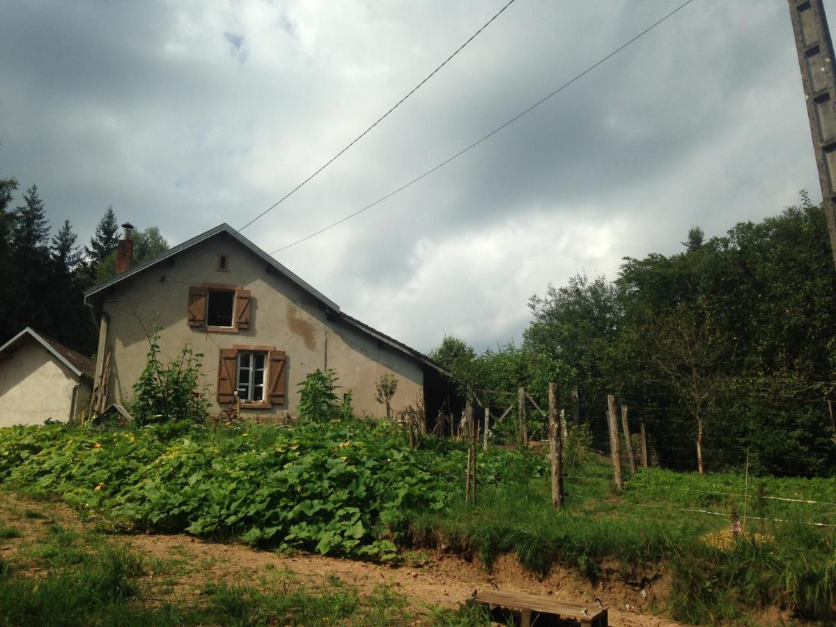 A L'Oree De Soi - Maison Forestiere De La Soie - Eco Gite, Chambres D'Hotes, Camping Au Pied Des Vosges Saint-Sauveur  Екстериор снимка