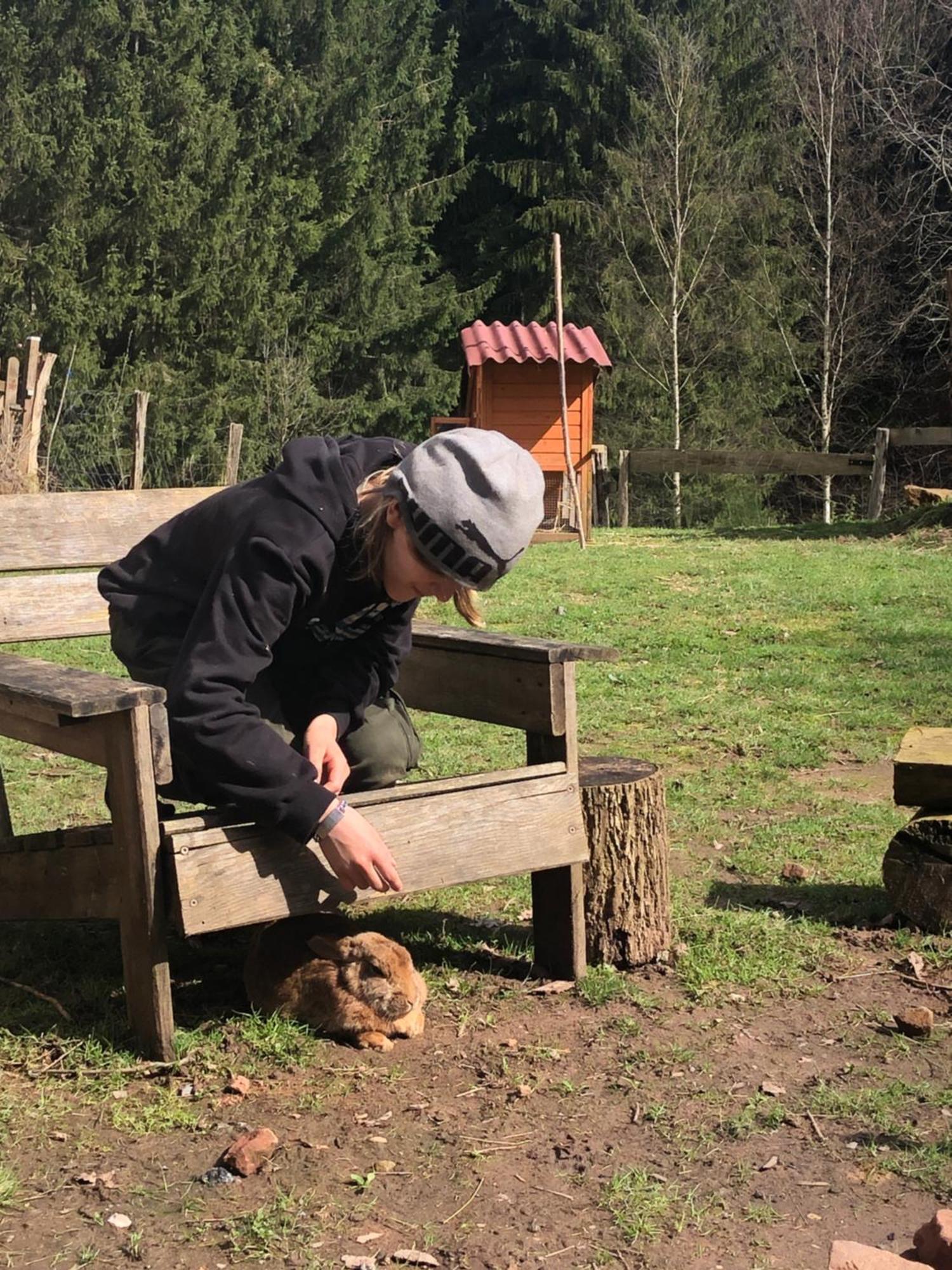 A L'Oree De Soi - Maison Forestiere De La Soie - Eco Gite, Chambres D'Hotes, Camping Au Pied Des Vosges Saint-Sauveur  Екстериор снимка