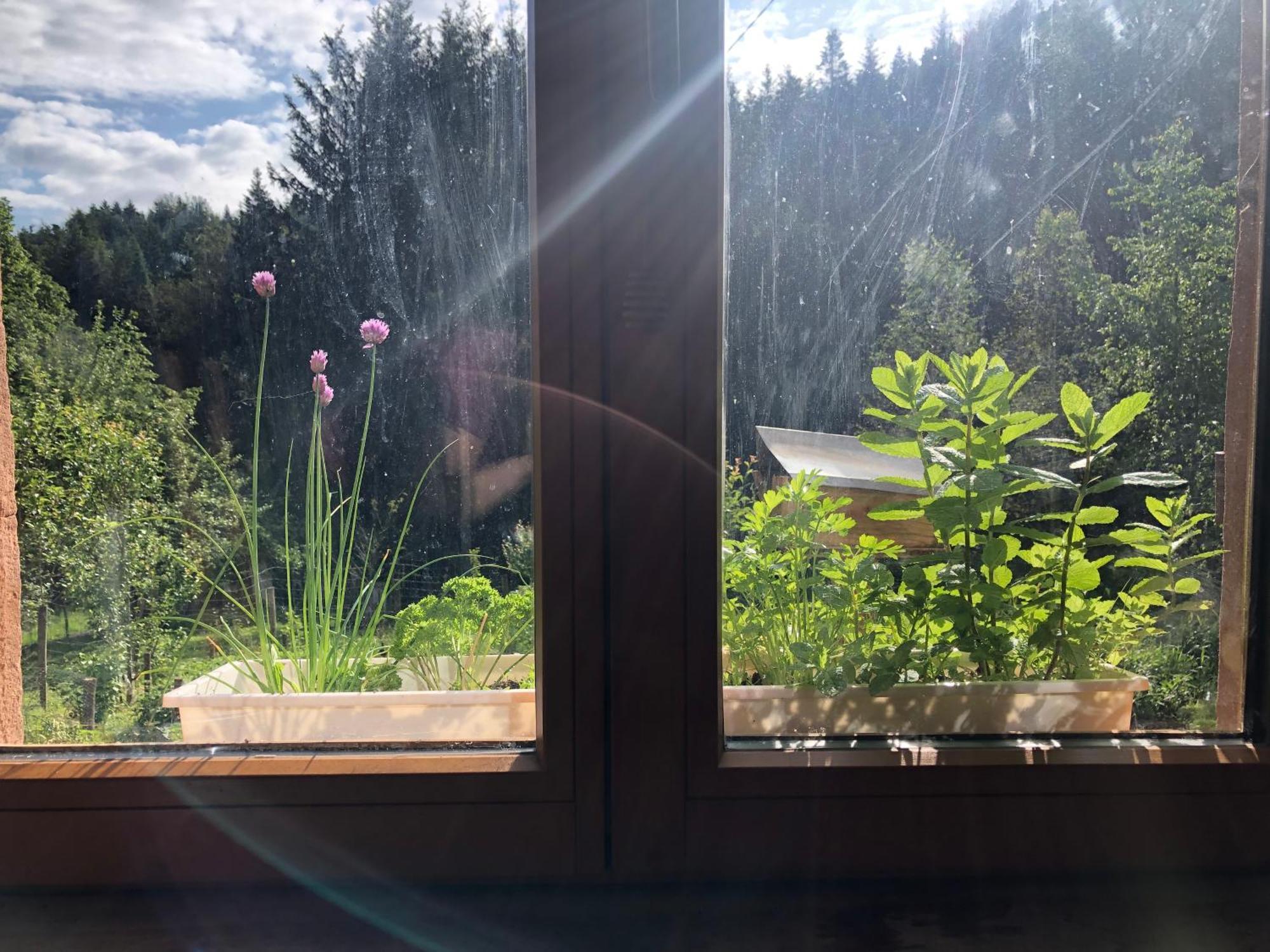 A L'Oree De Soi - Maison Forestiere De La Soie - Eco Gite, Chambres D'Hotes, Camping Au Pied Des Vosges Saint-Sauveur  Екстериор снимка