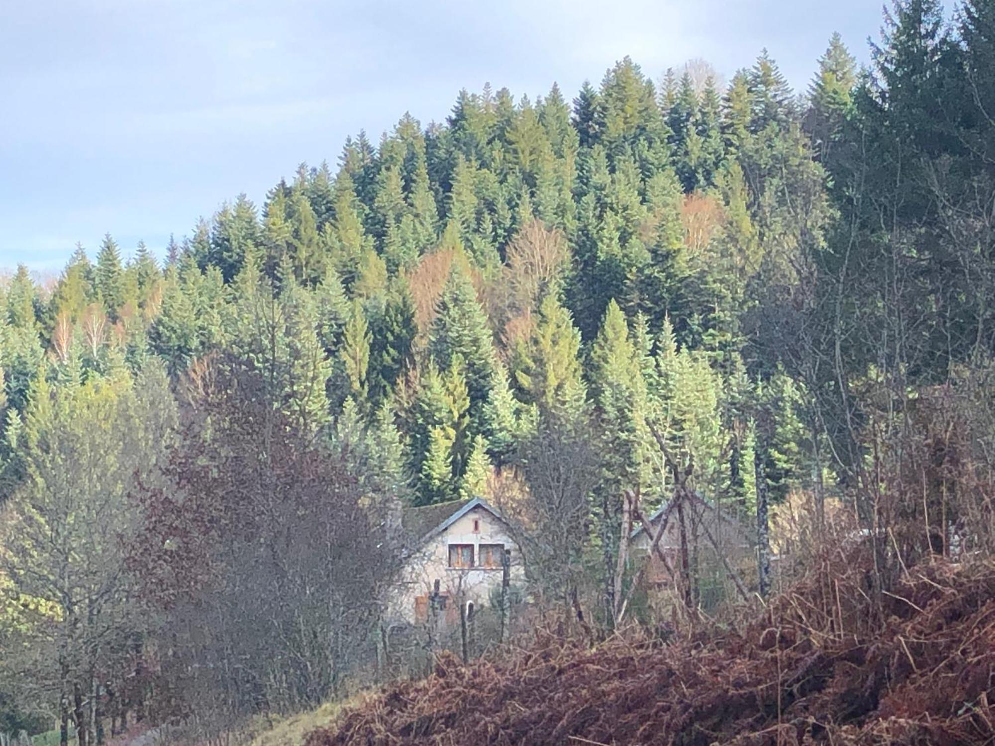 A L'Oree De Soi - Maison Forestiere De La Soie - Eco Gite, Chambres D'Hotes, Camping Au Pied Des Vosges Saint-Sauveur  Екстериор снимка