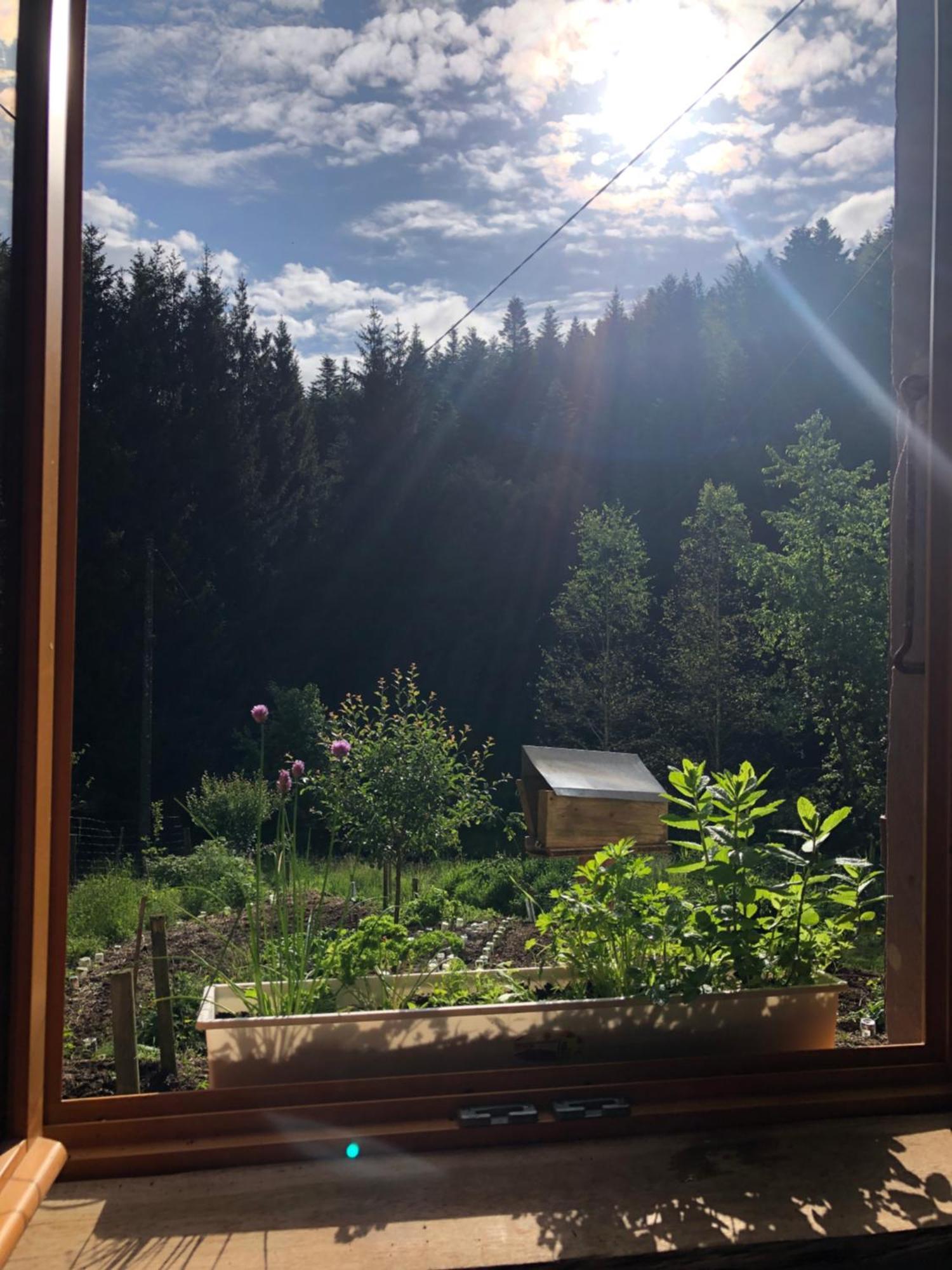 A L'Oree De Soi - Maison Forestiere De La Soie - Eco Gite, Chambres D'Hotes, Camping Au Pied Des Vosges Saint-Sauveur  Екстериор снимка