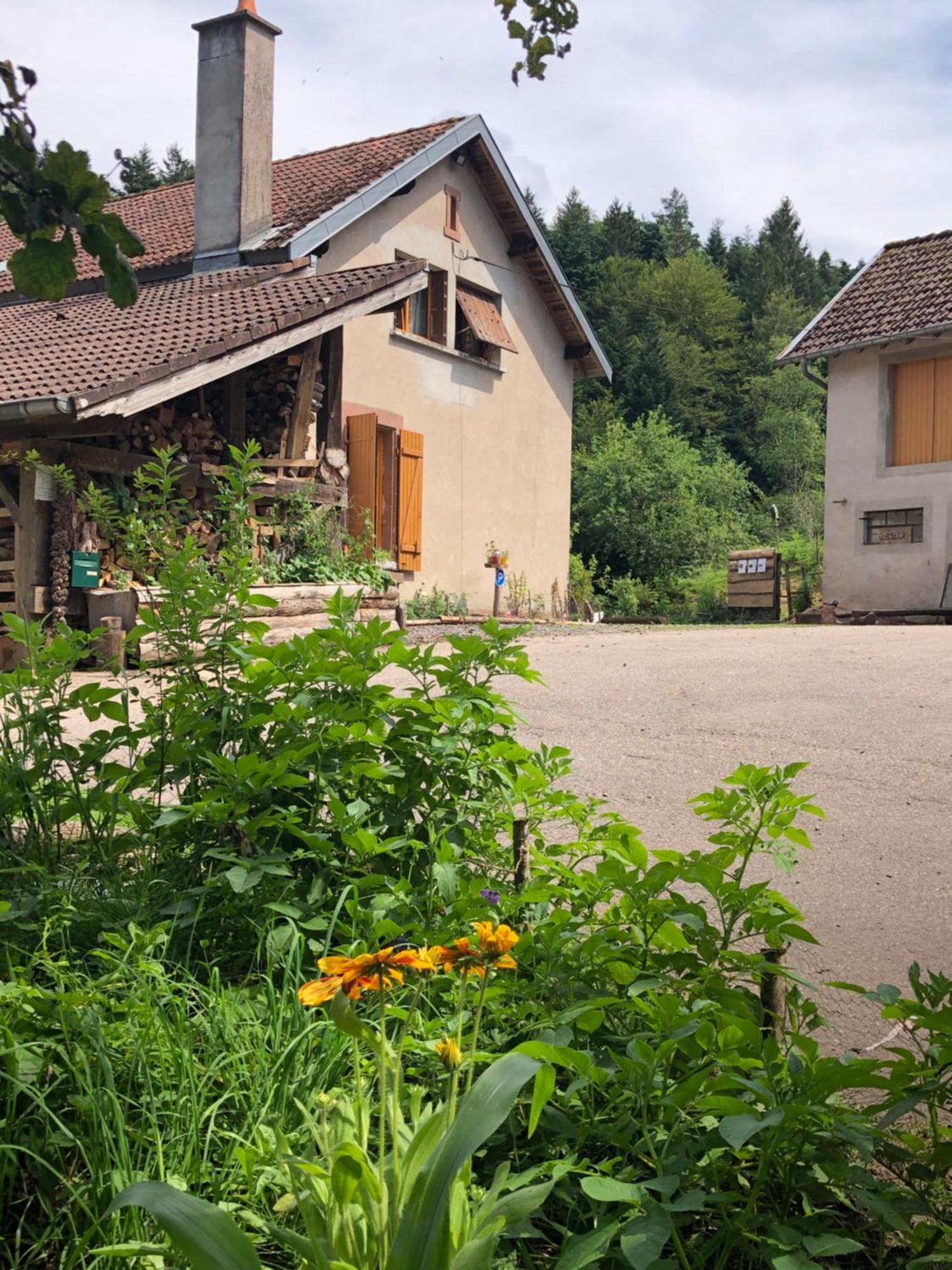 A L'Oree De Soi - Maison Forestiere De La Soie - Eco Gite, Chambres D'Hotes, Camping Au Pied Des Vosges Saint-Sauveur  Екстериор снимка