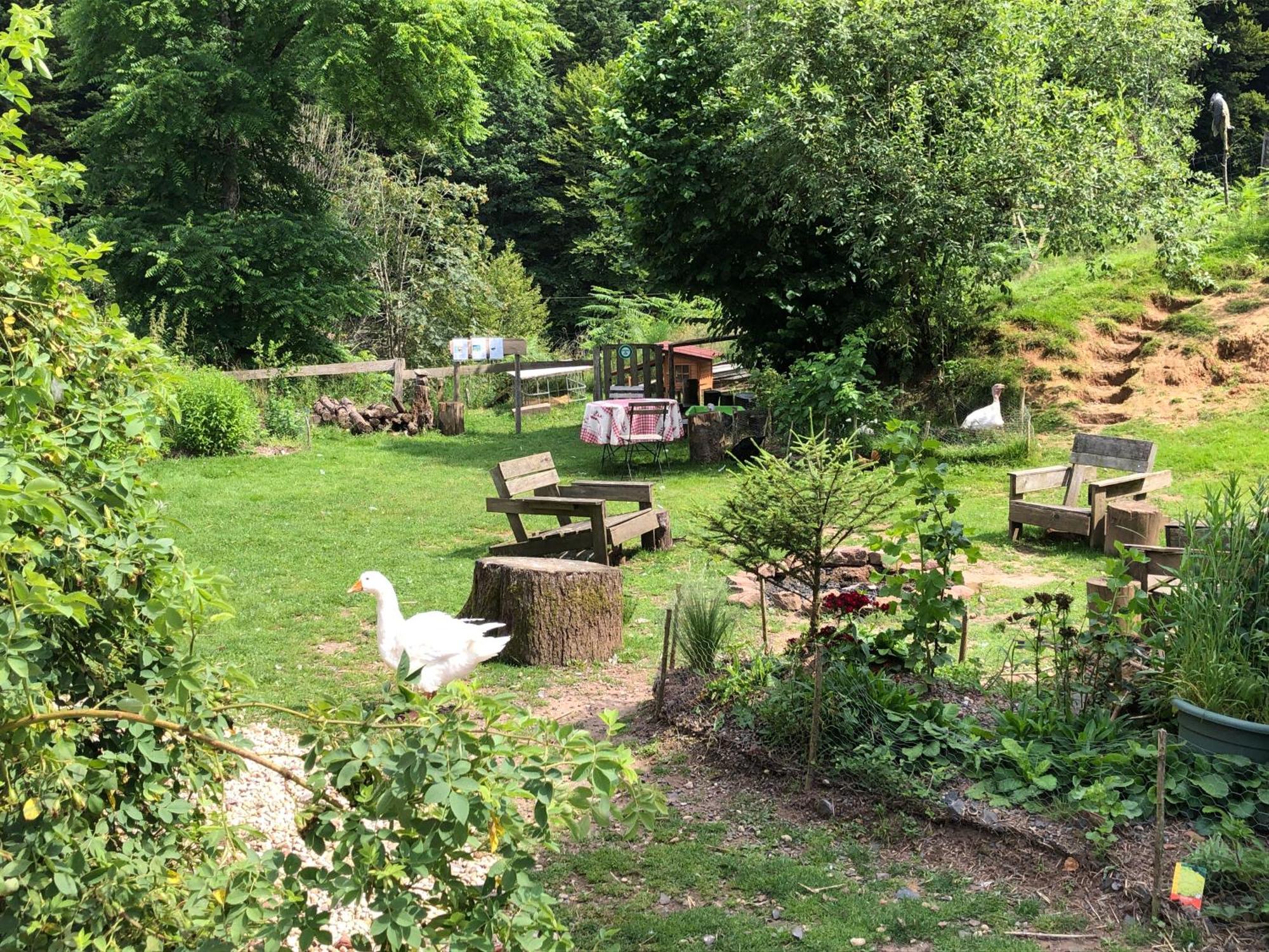 A L'Oree De Soi - Maison Forestiere De La Soie - Eco Gite, Chambres D'Hotes, Camping Au Pied Des Vosges Saint-Sauveur  Екстериор снимка