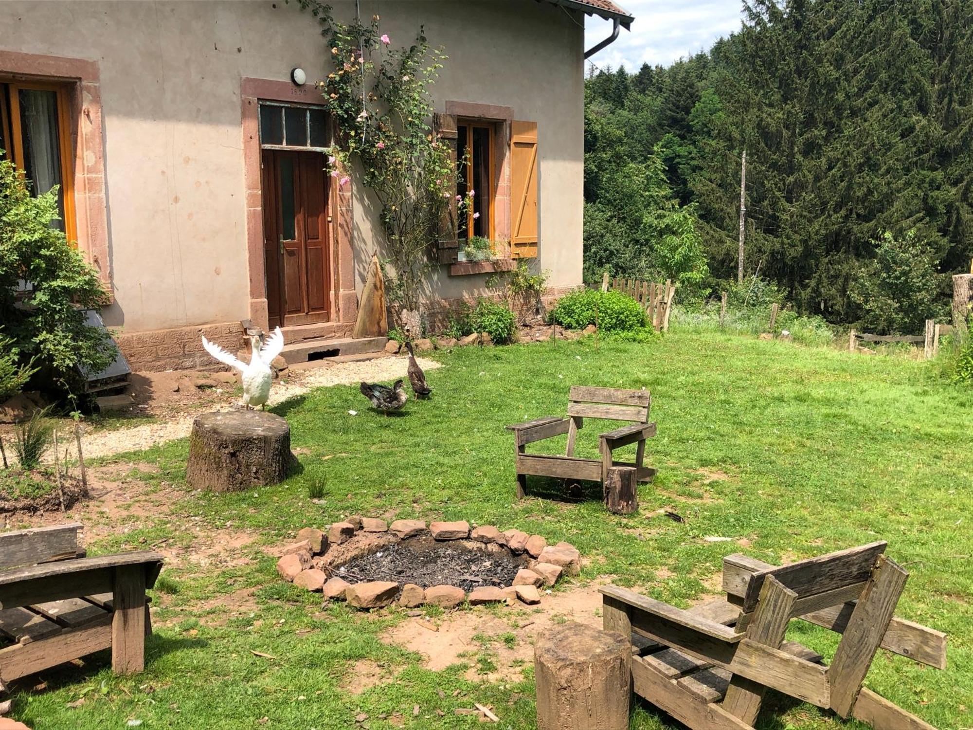 A L'Oree De Soi - Maison Forestiere De La Soie - Eco Gite, Chambres D'Hotes, Camping Au Pied Des Vosges Saint-Sauveur  Екстериор снимка