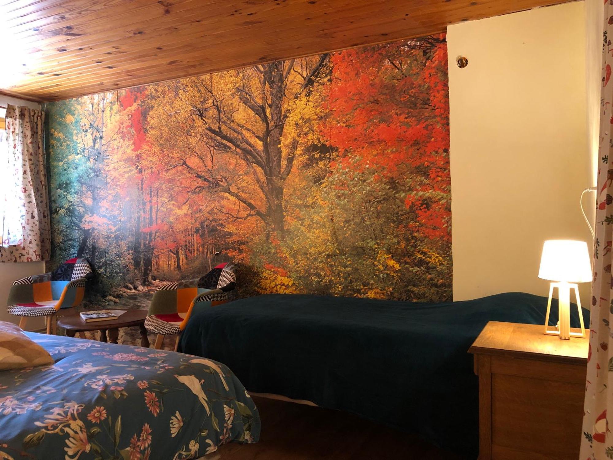 A L'Oree De Soi - Maison Forestiere De La Soie - Eco Gite, Chambres D'Hotes, Camping Au Pied Des Vosges Saint-Sauveur  Екстериор снимка