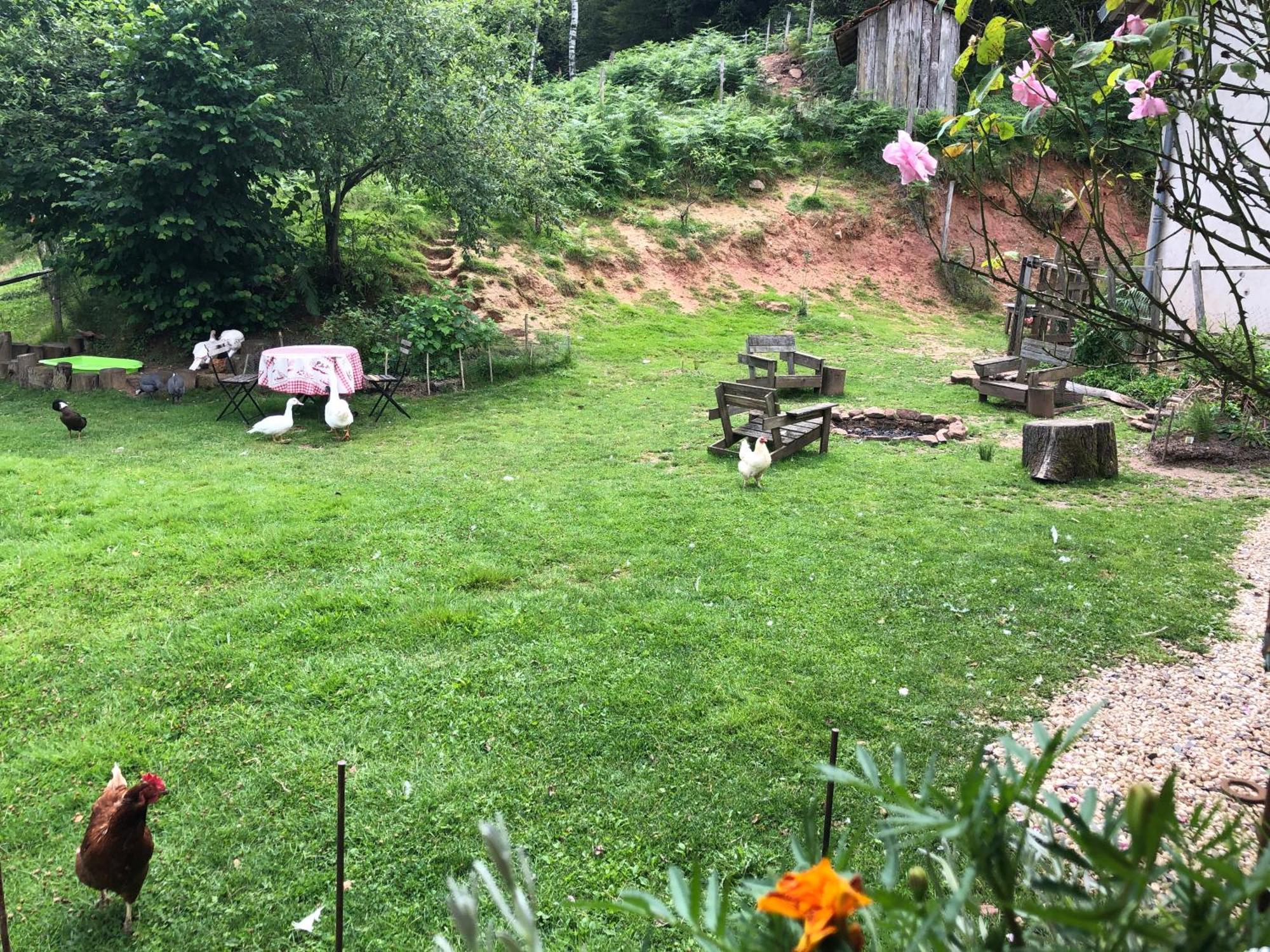 A L'Oree De Soi - Maison Forestiere De La Soie - Eco Gite, Chambres D'Hotes, Camping Au Pied Des Vosges Saint-Sauveur  Екстериор снимка